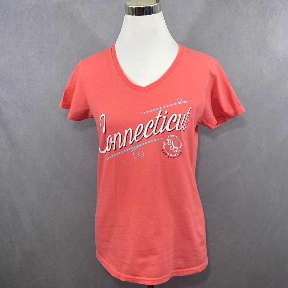 Size M Gildan Connecticut V-Neck Tee